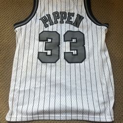Scottie Pippen Mitchell & Ness Bulls Jersey 2003-04 Youth L Hardwood Classics