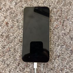 iPhone 12 Pro Max 256 GB