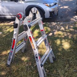 Lil Giant 13' Multi Ladder