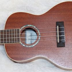 cordoba ukulele concert 15cm