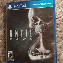 Until Dawn