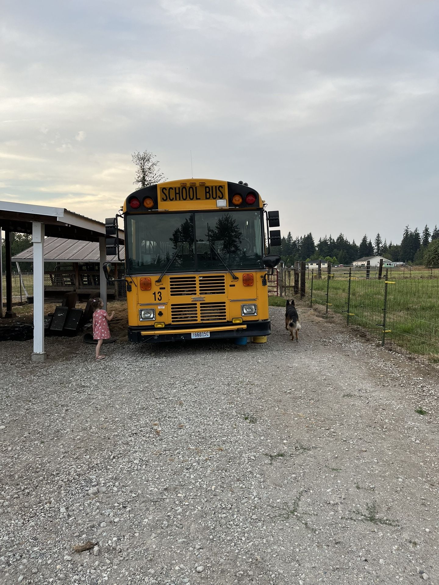 School Bus (Skoolie)