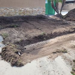 Free Soil 