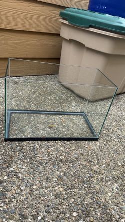 Glass fish tank