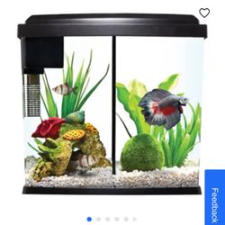 Beta fish Aquarium Plus Extra