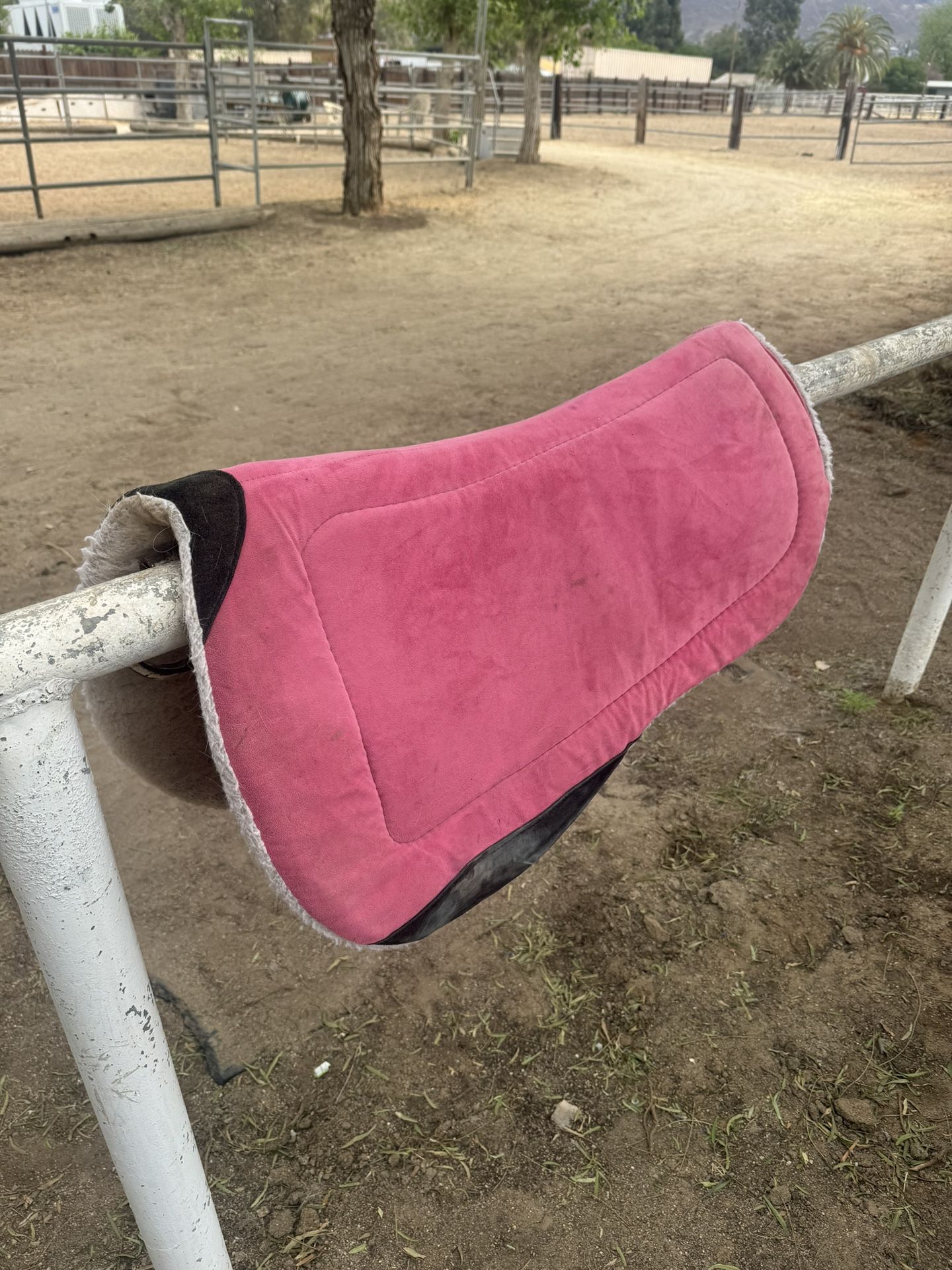 Horse Saddle Pad