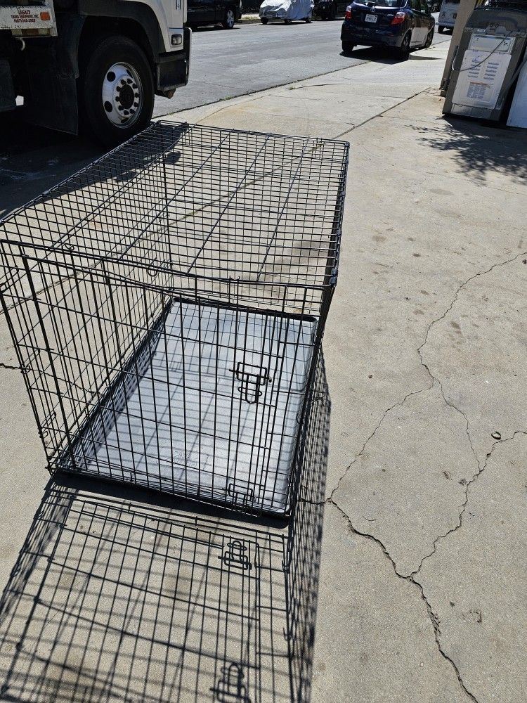Dog Cage 