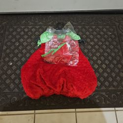 Halloween Costume 🎃 