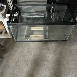 Fish Tank