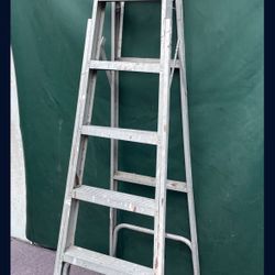 6 Foot Ladder