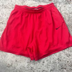 Nike Shorts Size XXL