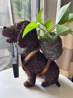 Rattan Fiber Welcome Dog Planter