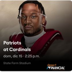 NE Patriots @ AZ Cardinals | Week 15