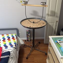 Parrot Stand 