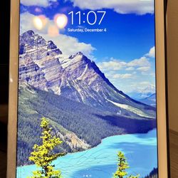 Apple iPad Air 2 w/Wi-Fi & Cellular GSM Unlocked: 16 GB-Silver. MAKE AN OFFER