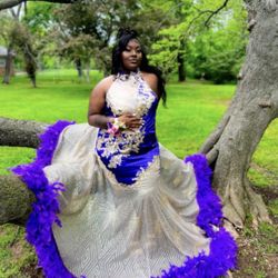 Purple\gold  With Feathers Prom Dress