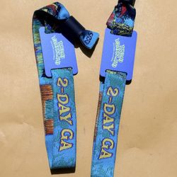 Beyond wonderland 2 Day GA Passes