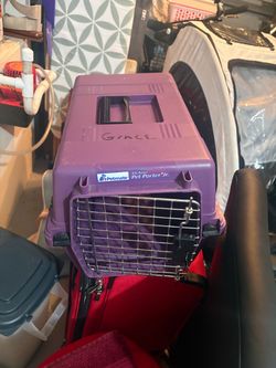 Petmate Deluxe Pet Porter Jr. Pet Carrier
