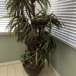 Fake House Plant/tall Plant $80 OBO
