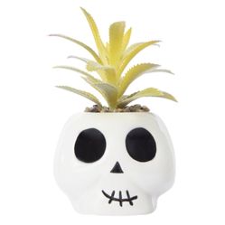 Faux Succulent Halloween Skull