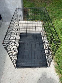 Dog cage with essentials