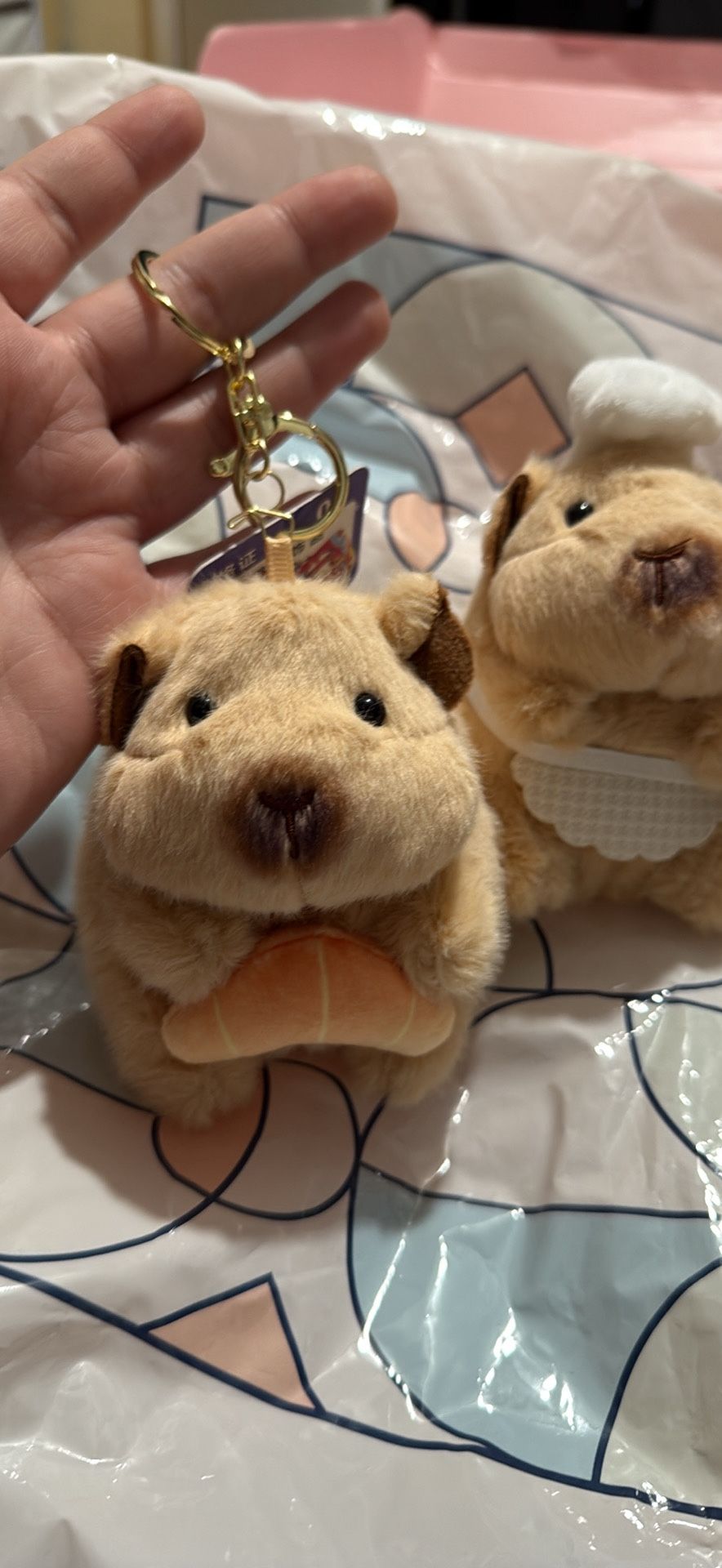 Capibara Plush Set