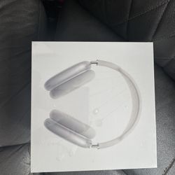 AirPod Maxes