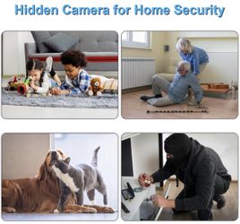 Dog hotsell hidden camera