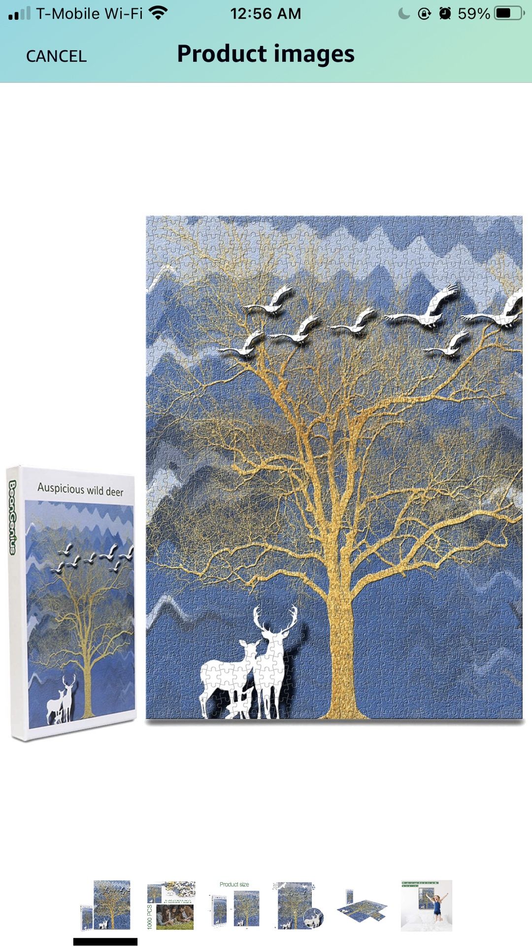 1000 Piece Puzzles