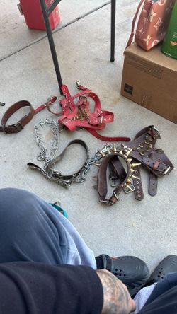 Dog Harness And Leashes