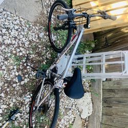 Bike And Trailer 