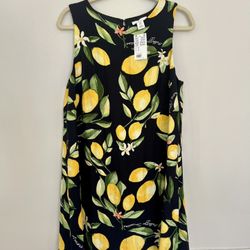 H&M Dress (M) -New with tag