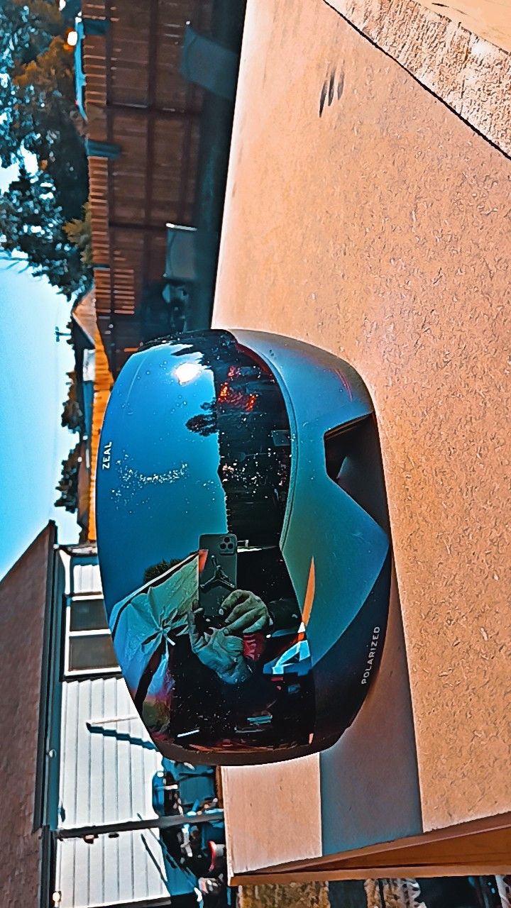 Zeal Polorized Snow Goggles