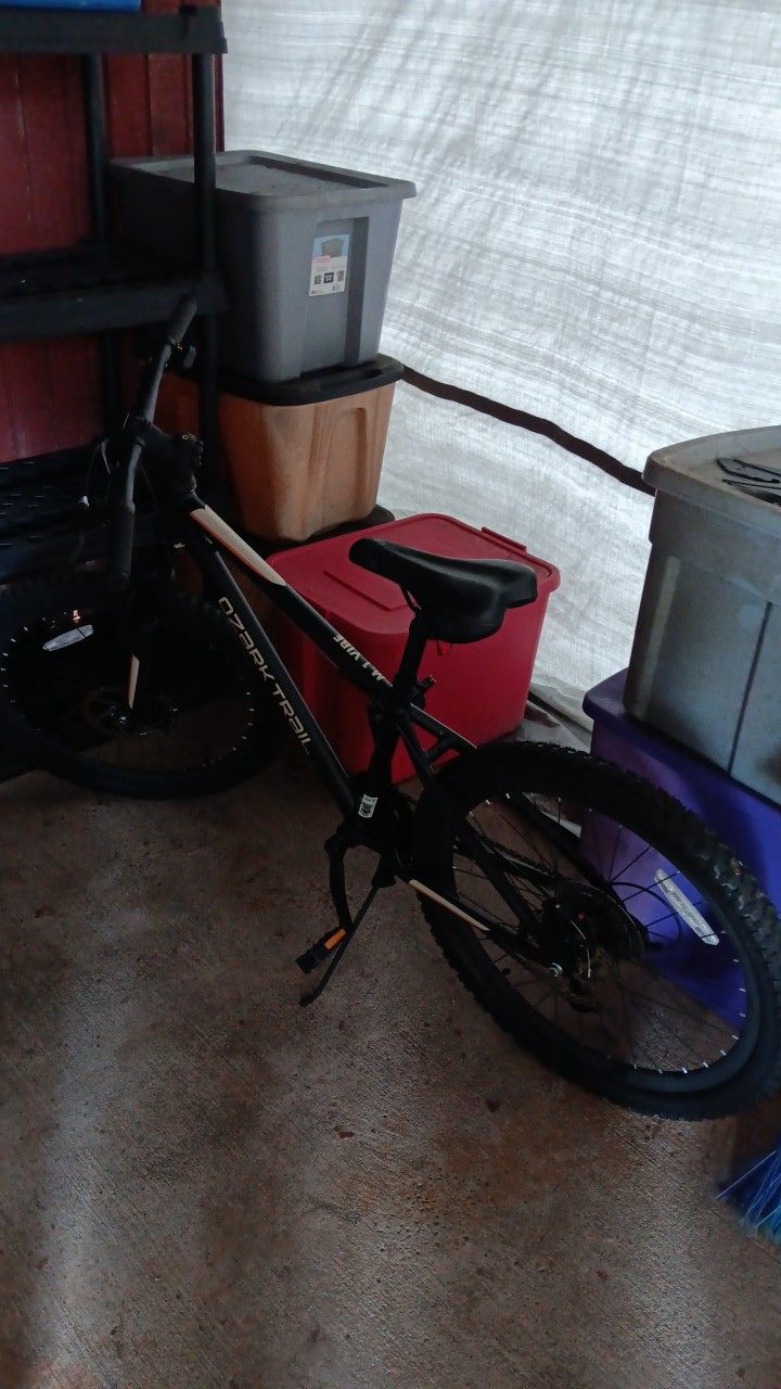 Two Mountain Bikes And One Beach Cruiser