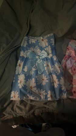 Dog clothes