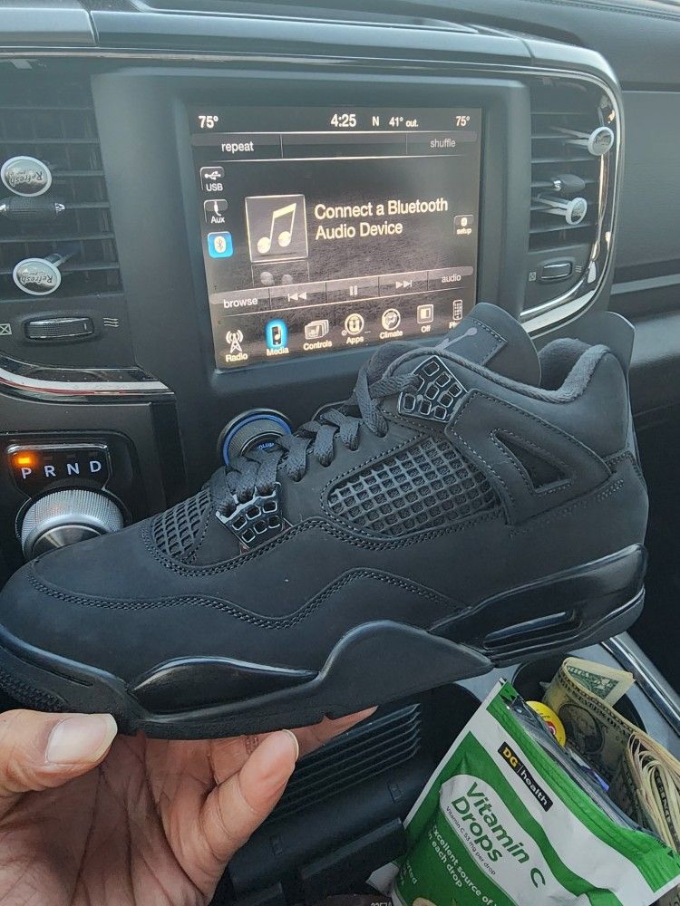 Jordan 4 Black Cat