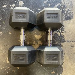 Giant 75lb Dumbell Set