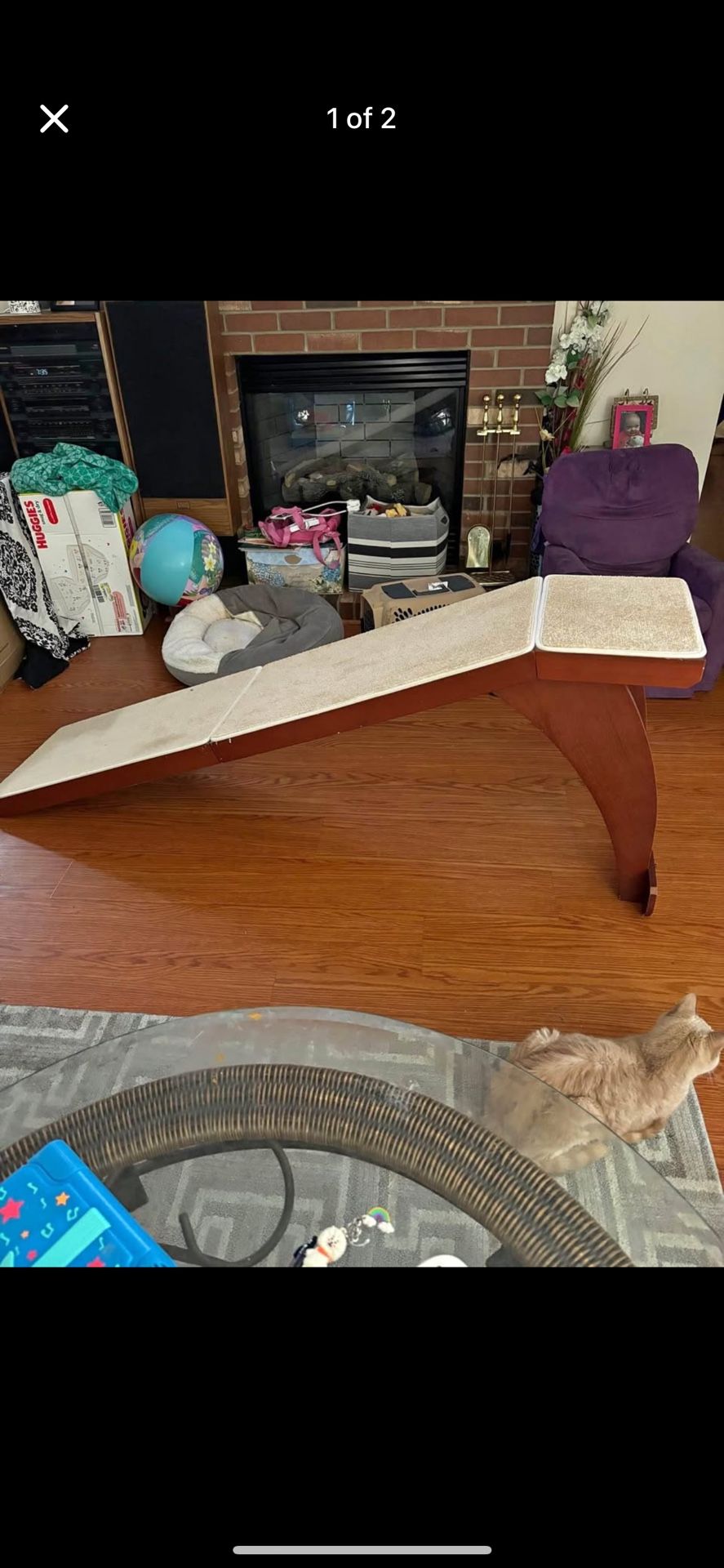 Pet Ramp 