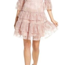 NWT Eliza J Blush Pink Lace A Line Ruffle Pleated Dress Sz 8