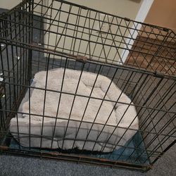 4 Small Dog 🐕 Cage 