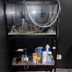 20 Gallon Fish Tank 