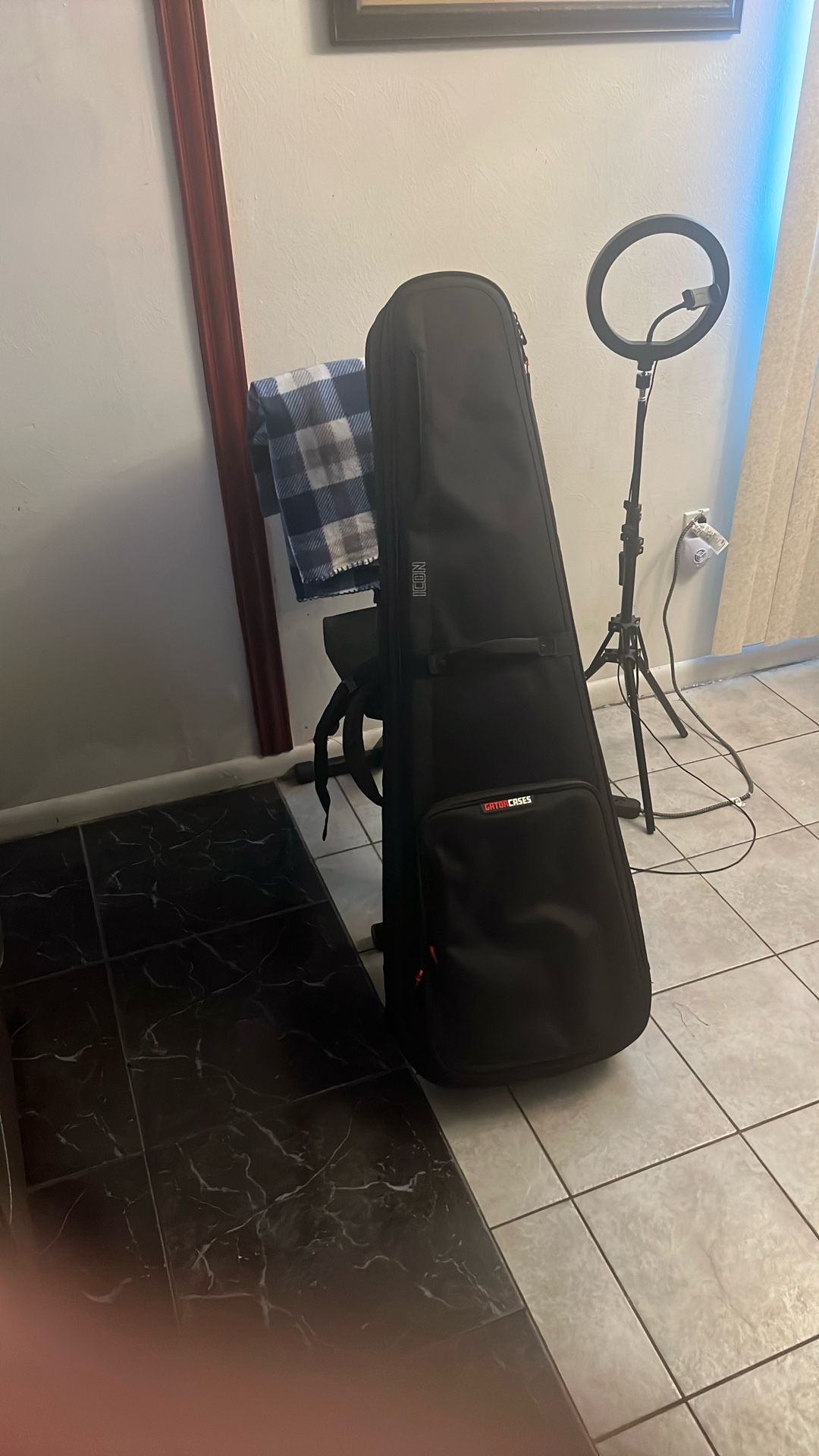 Bass Guitar Case