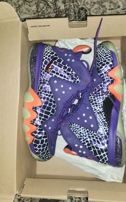 Nike Barkley Posite Max “Court Purple/Team Orange” — Size 10 — New Deadsto