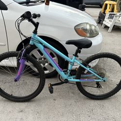 Youth Girls Bike 24 Inches