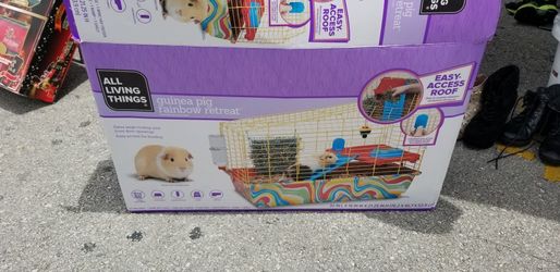 Guinea Pig Rainbow Retreat