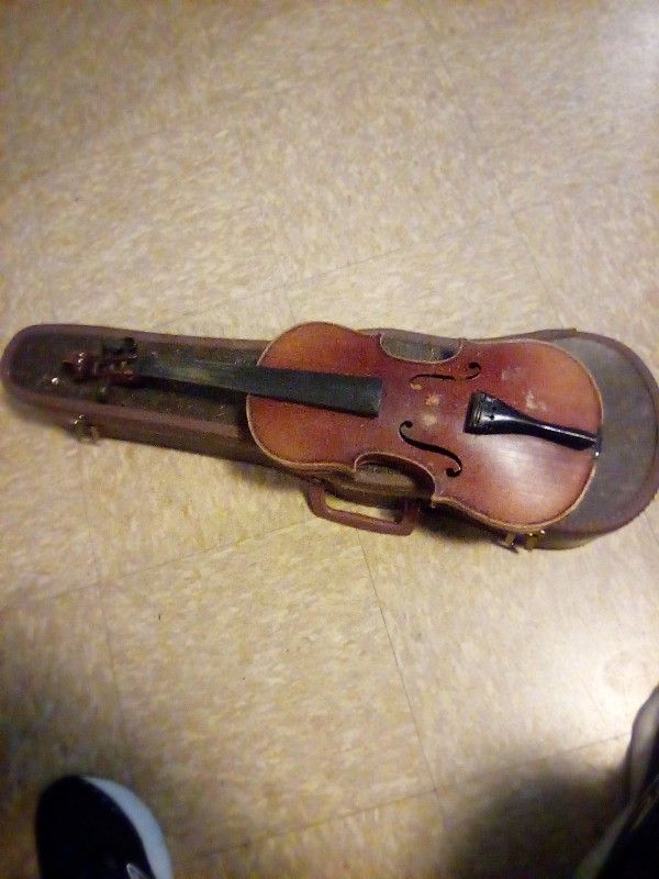 Violin