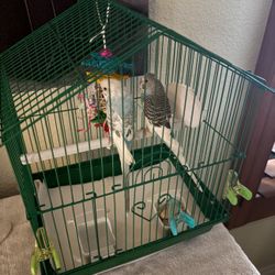 Small Bird Cage 