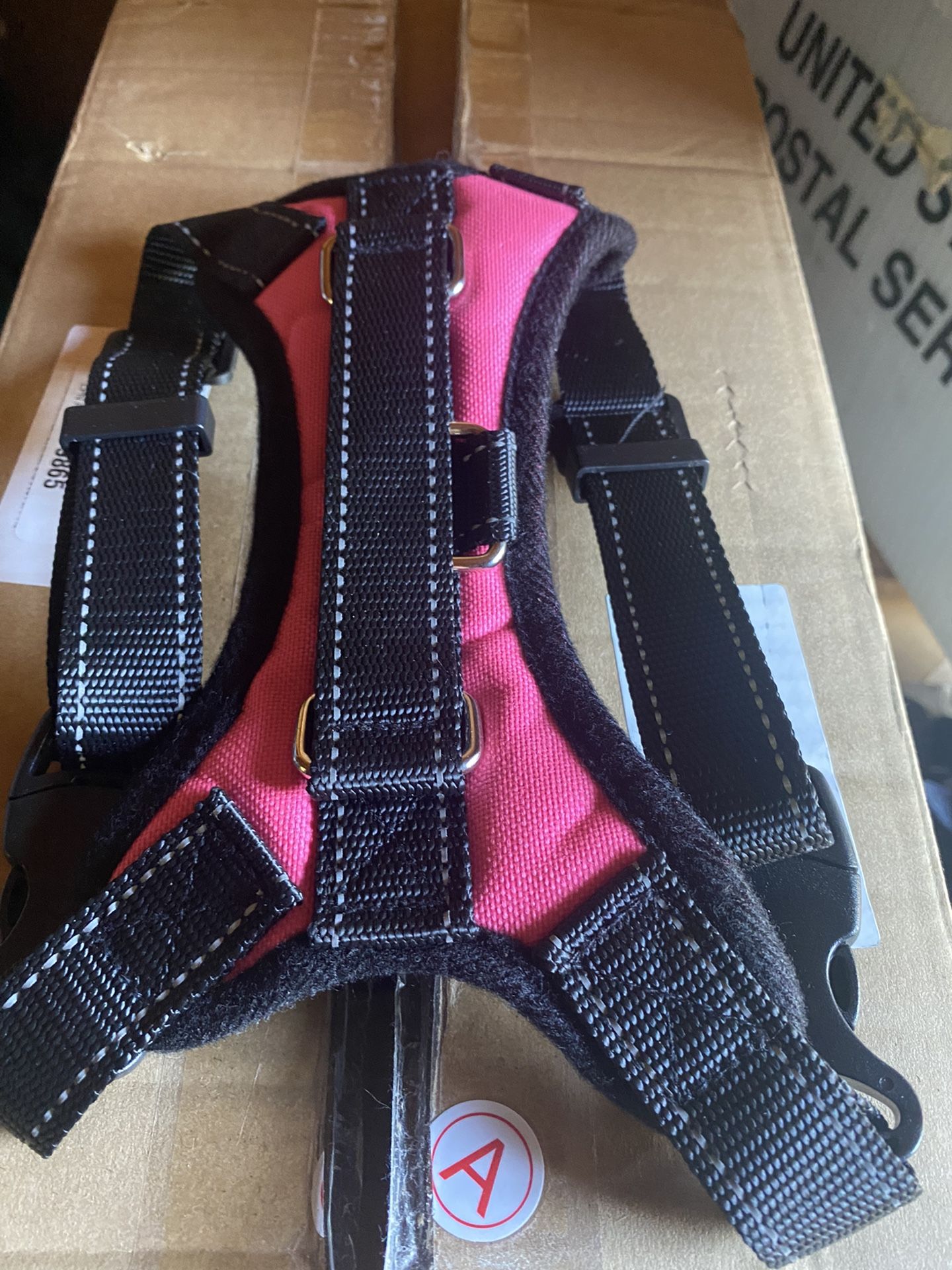 Small dog harness