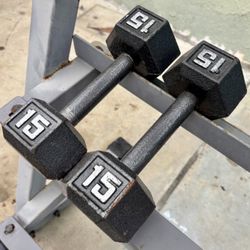 15 lb Dumbbell Pair for Sale