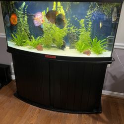 75 Gallon Aquarium Bow Front 